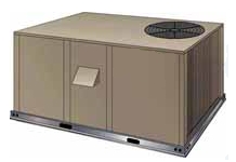 Packaged Gas Electric
